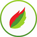 Pro Energy